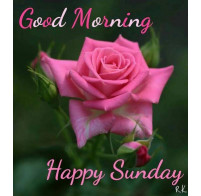 Da Vic entertainment